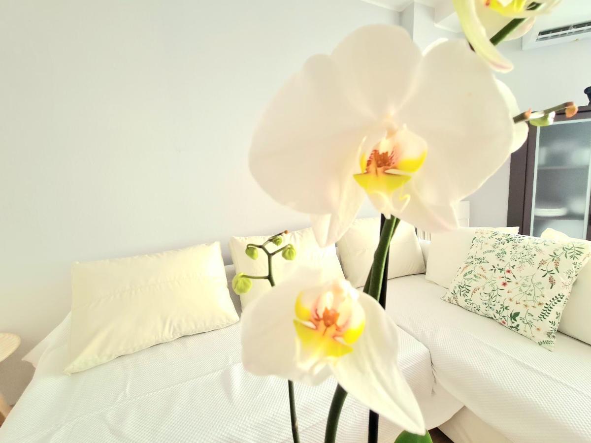 Aa Guest - El Mono De Torre Del Mar Eco Apartment Екстер'єр фото